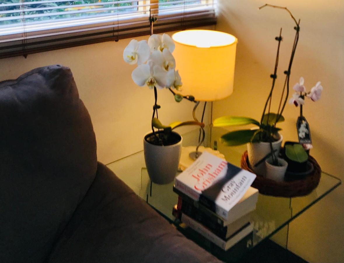 The Mews Motel Launceston Ngoại thất bức ảnh
